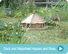 Duck and Waterfowl Houses and Runs